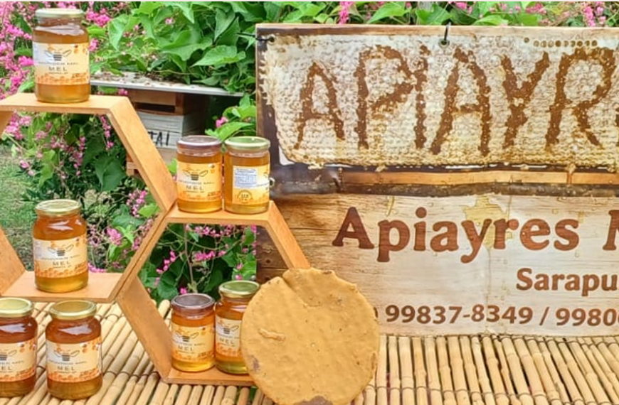 Apiário e Meliponário Apiayres