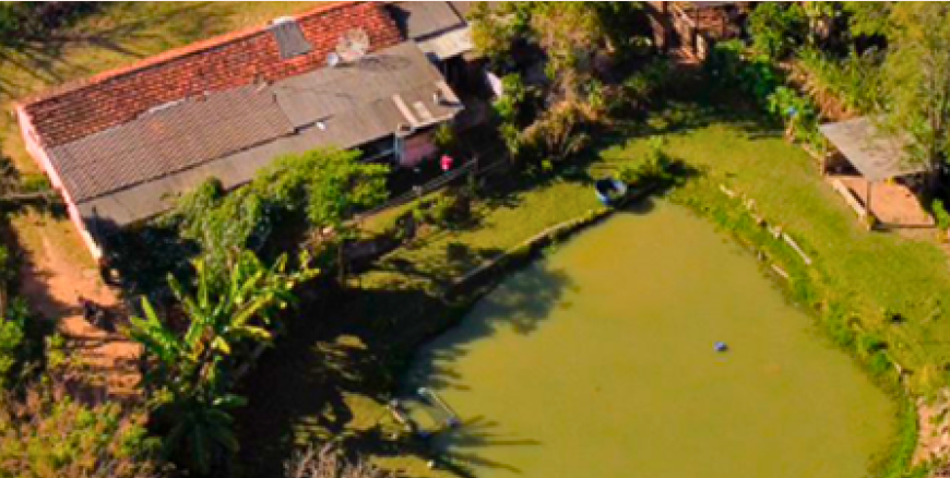 Pesqueiro do Carlinhos