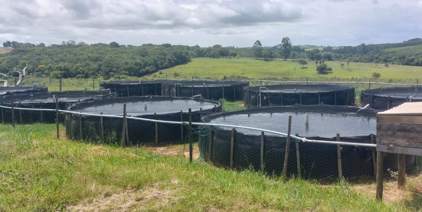 Piscicultura Eliah
