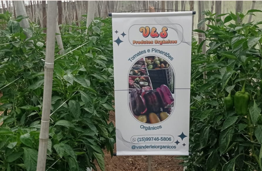 V&S Orgânicos