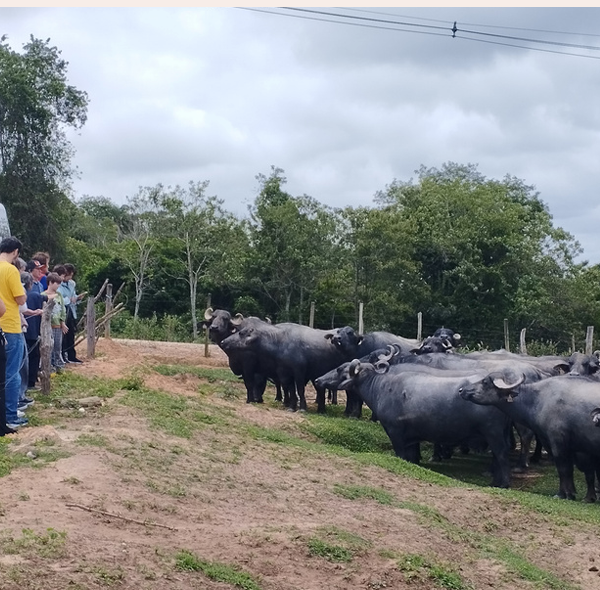 Queijaria Família Rossato