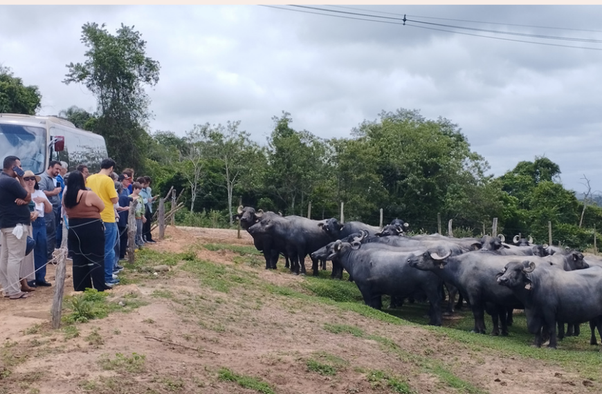 Queijaria Família Rossato